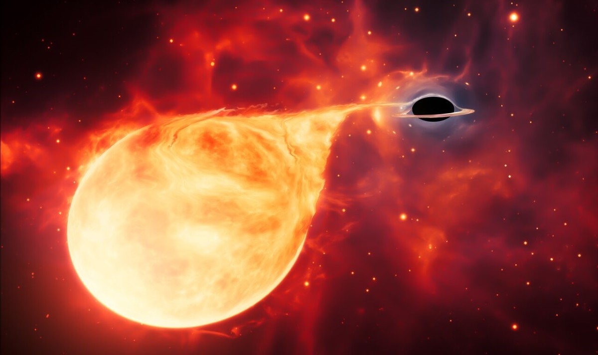 The 5 Different Types of Black Holes