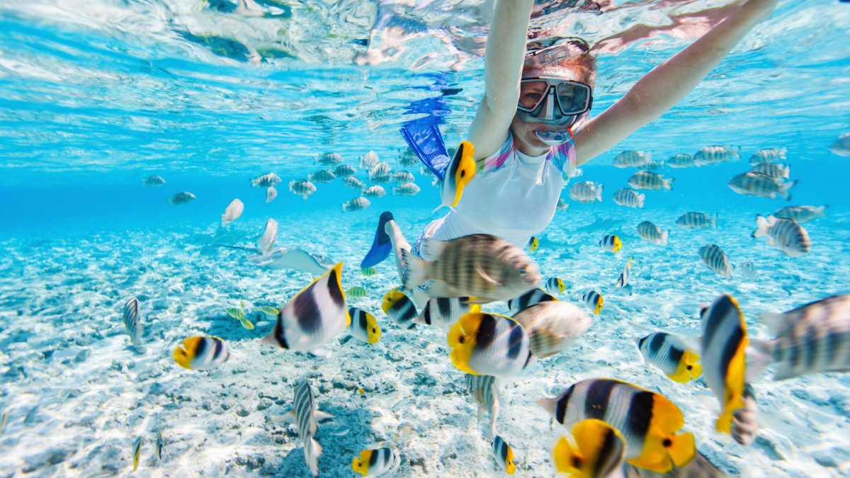 Hawaii: Snorkeling Anyone? A Guide to Your Safe and Fun Underwater Adventure