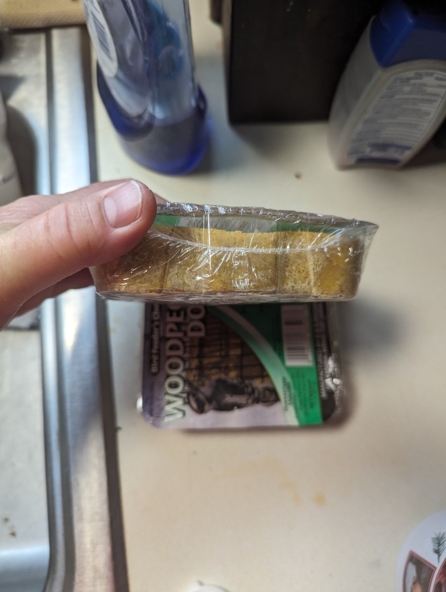 Bird Feeding - Woodpecker Dough - HubPages