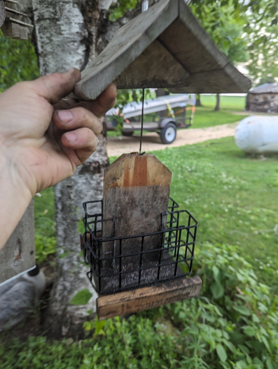 Bird Feeding - Woodpecker Dough - HubPages