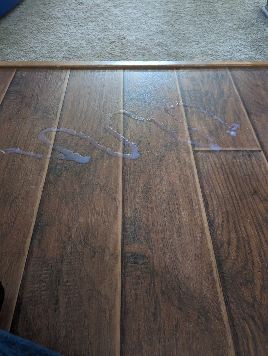 Libman Hardwood Floor Cleaner and a Power Buffer HubPages