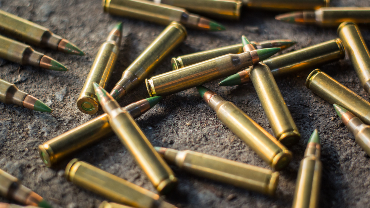 Do You Really Need a Premium Hunting Bullet?