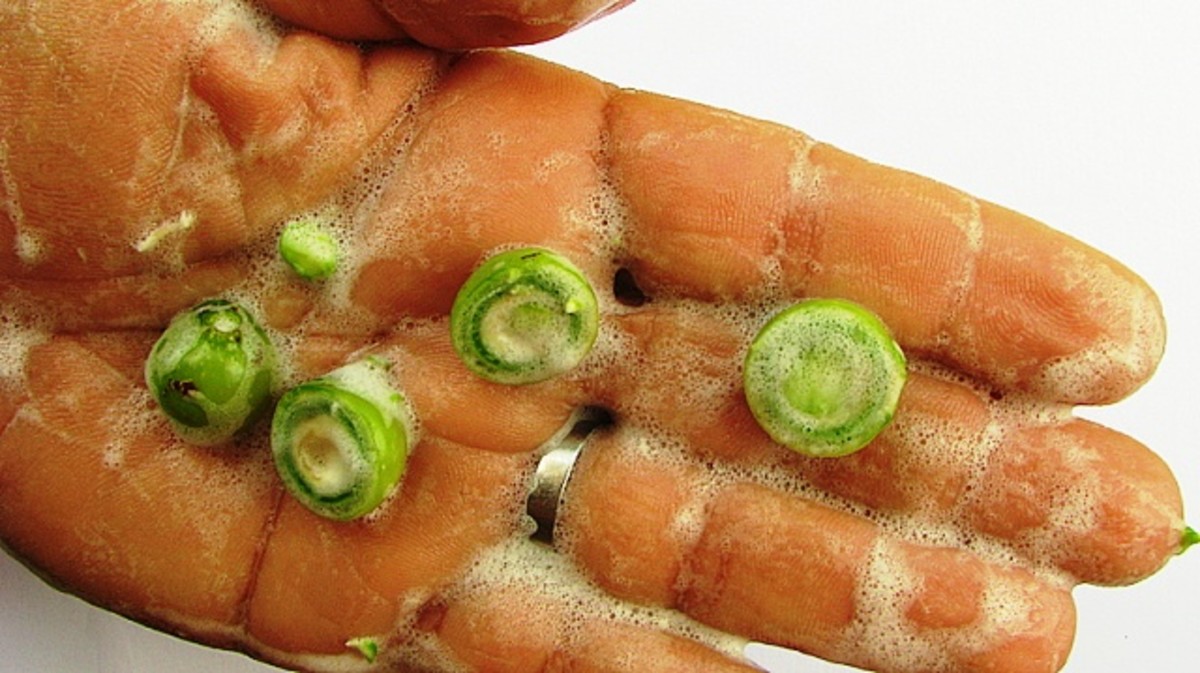 What Are Soap Nuts? HubPages