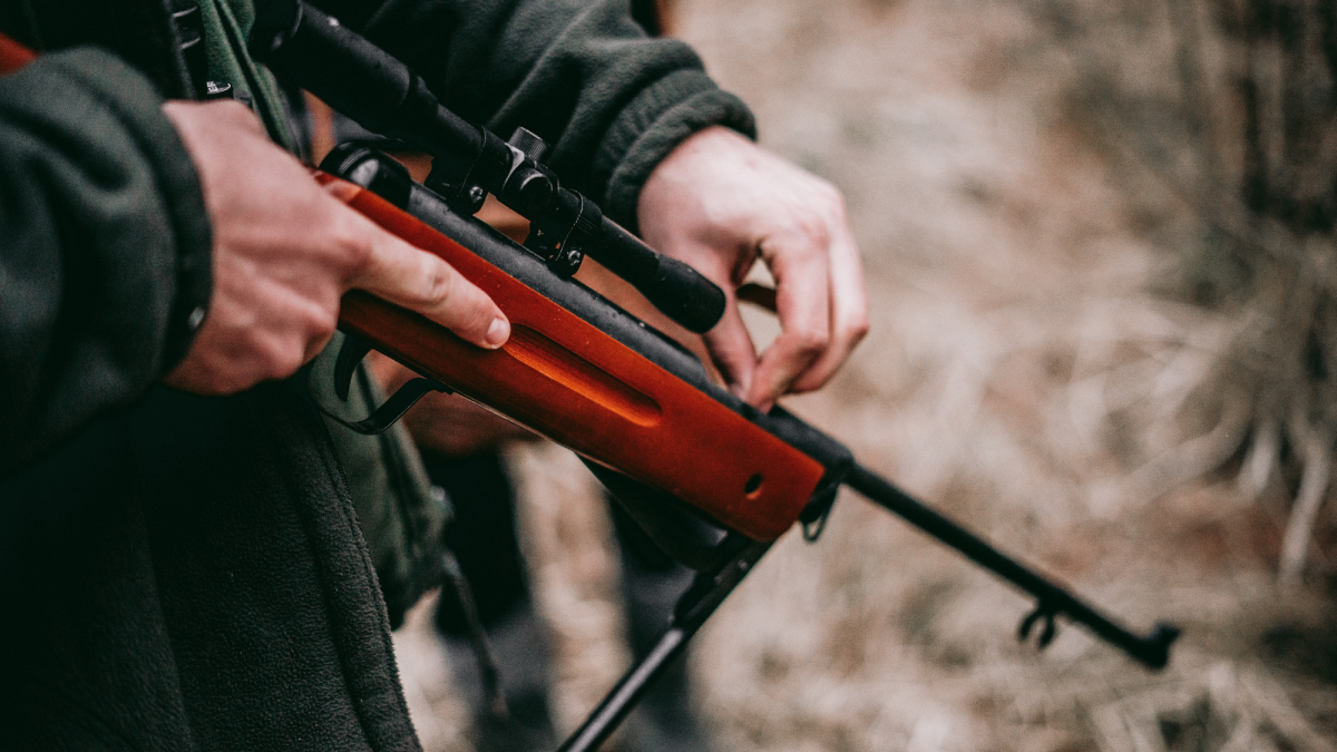 How to Choose Your First Hunting Rifle