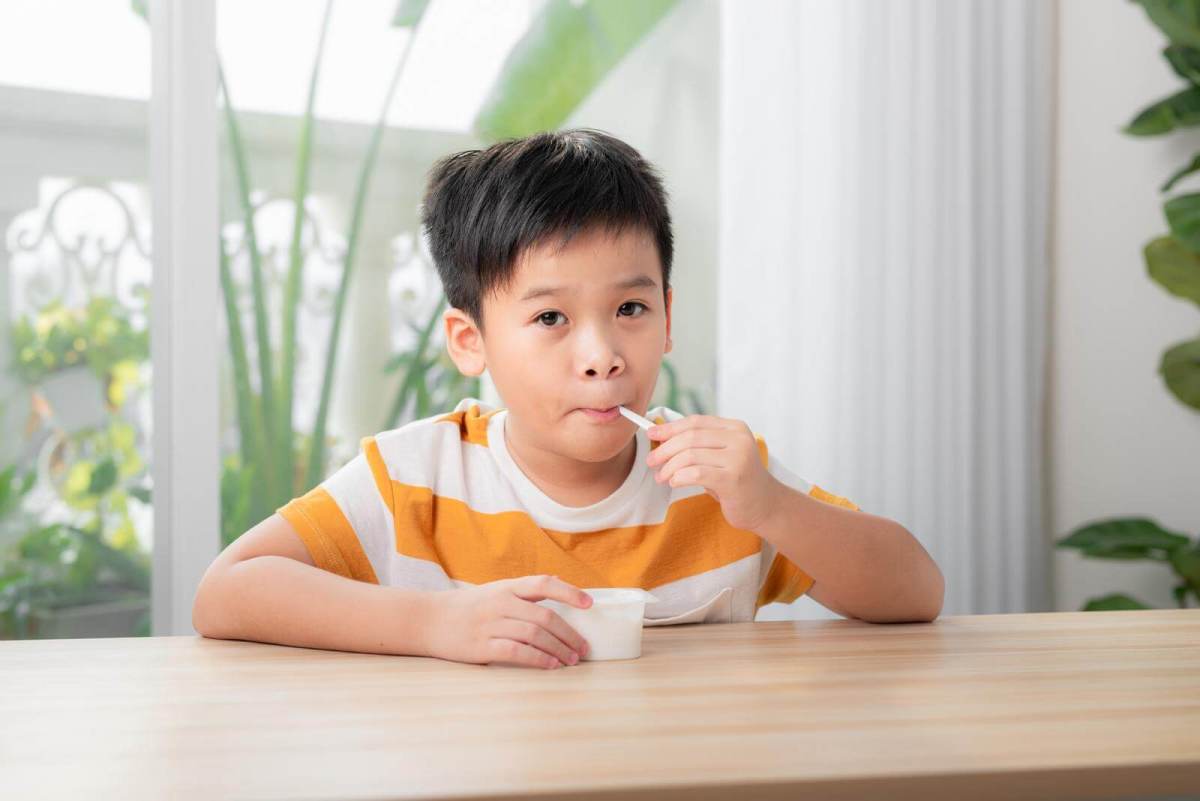 What Is in Macrobiotic Yogurts That Help Your Body?