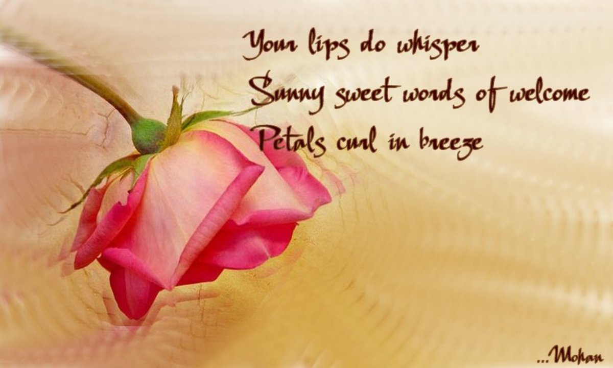Haiga - Kisses and Wishes - HubPages