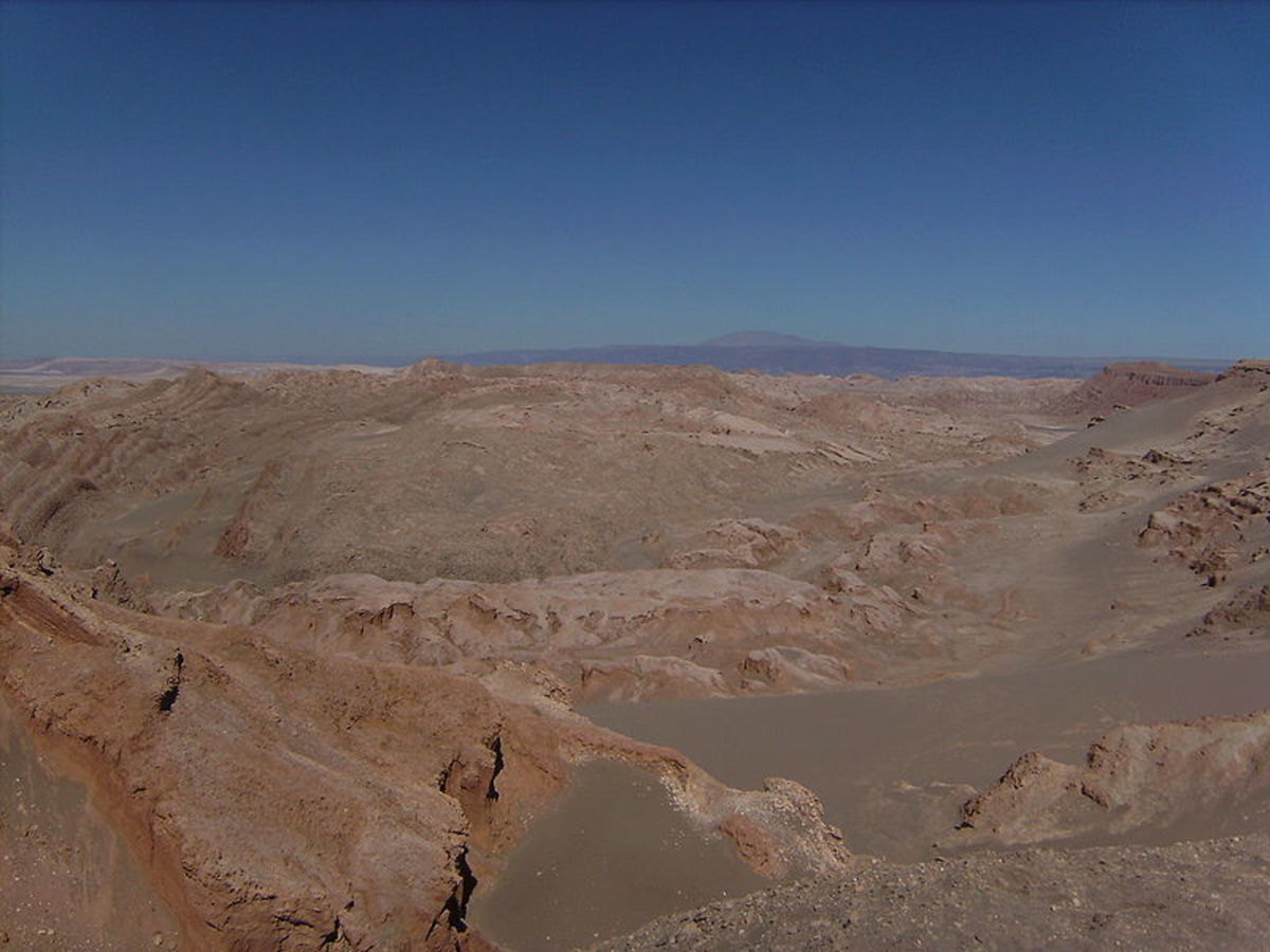 Atacama Desert Is the Driest Place on Earth. yet It's Not Lifeless.