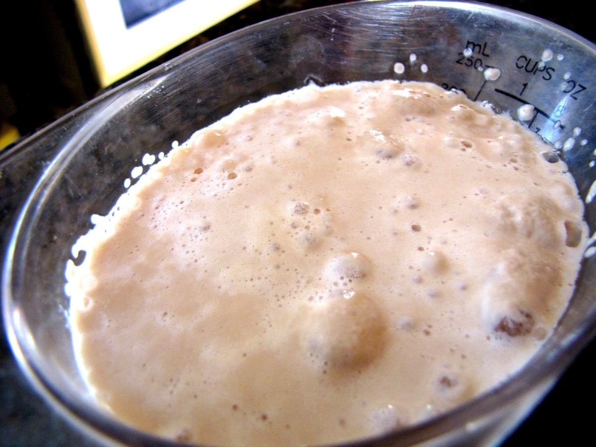 What Makes Bread Dough Rise? HubPages