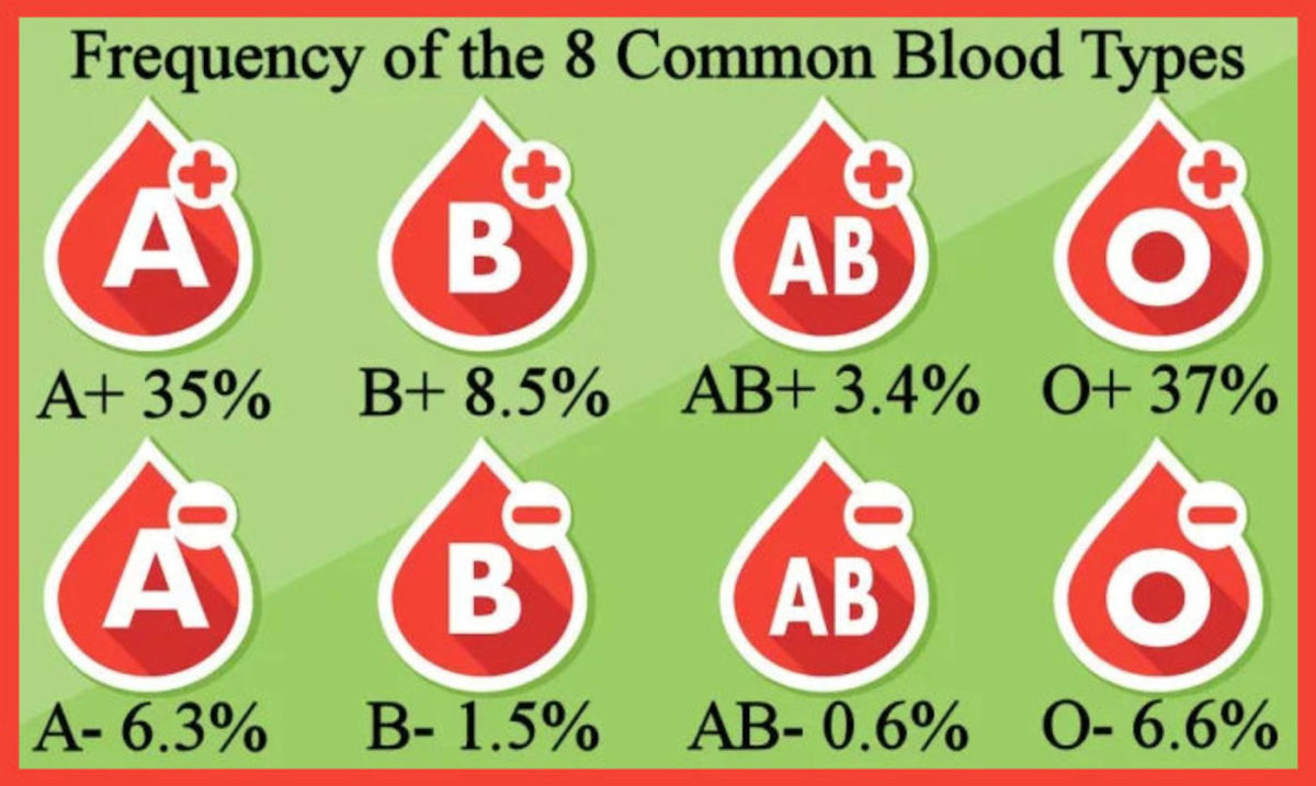 Blood Bank Test Ordering for Nurses HubPages