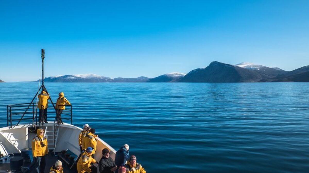 7 Essential Tips for an Adventurous Sea Journey