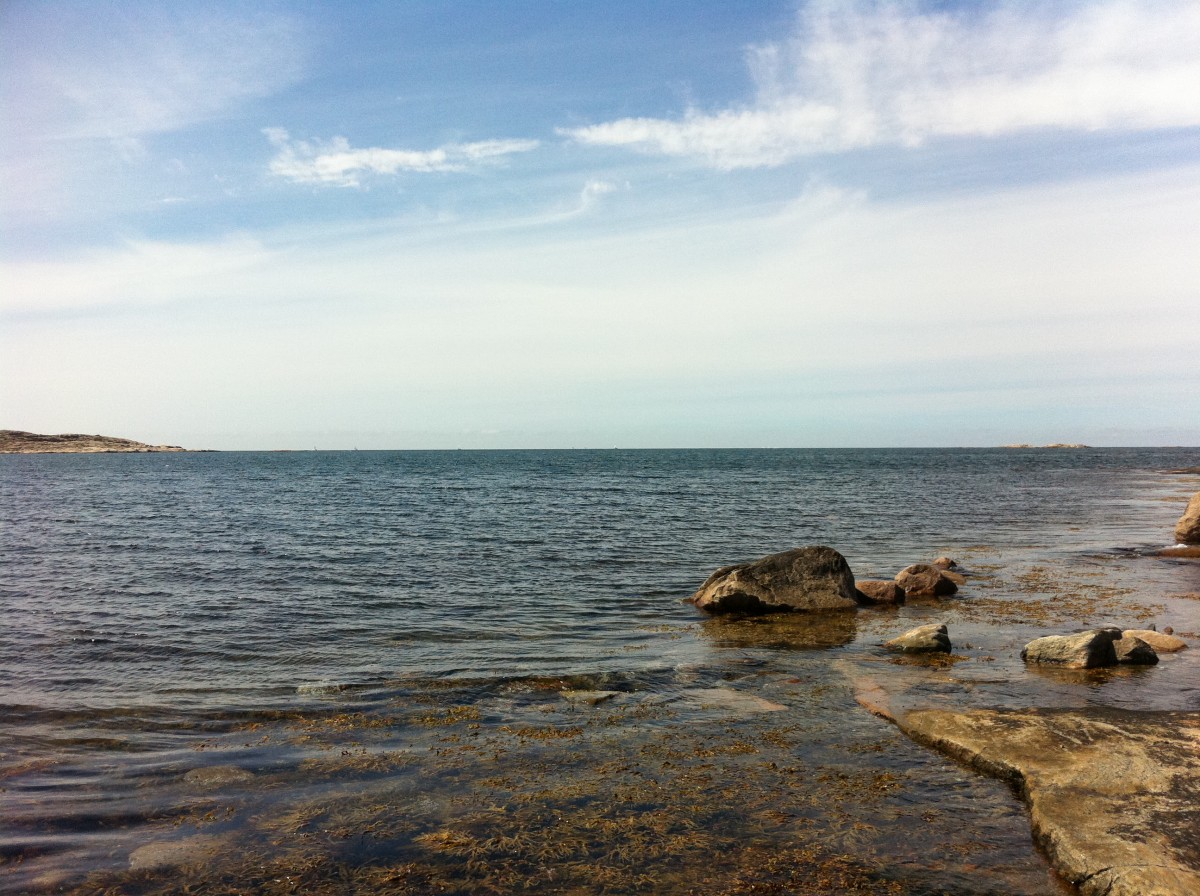 About the oceans, deep ocean circulation