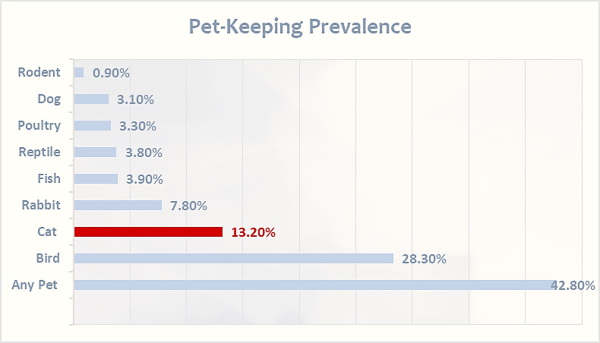 Cat Allergies Causes, Symptoms, and Precautions HubPages