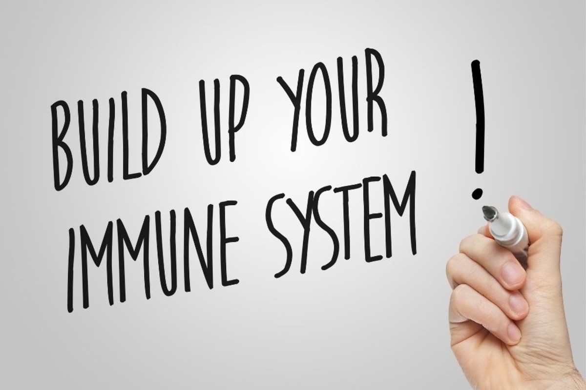 The Many Ways to Boost Your Immune System