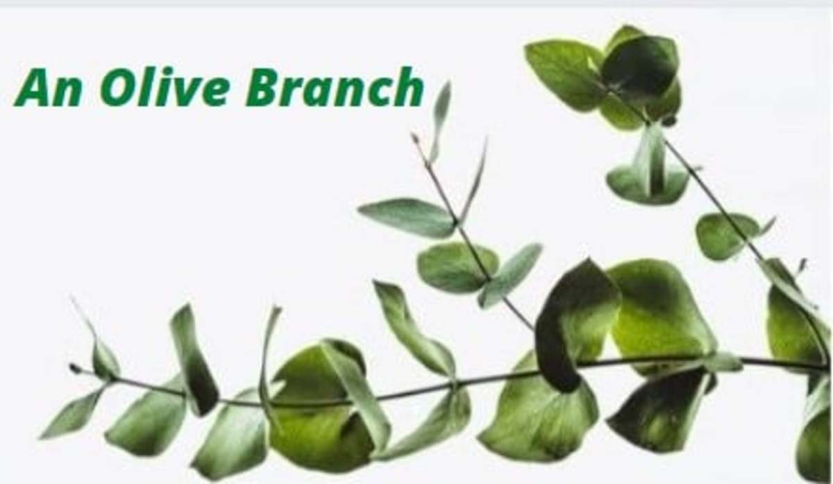 the-olive-branch-a-symbol-of-peace