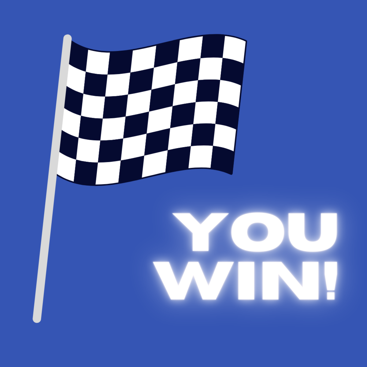 This is the flag every race car driver longs to see!