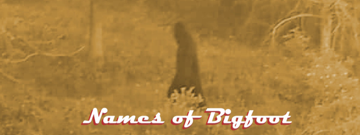 Bigfoot has been known by many different names over the years.