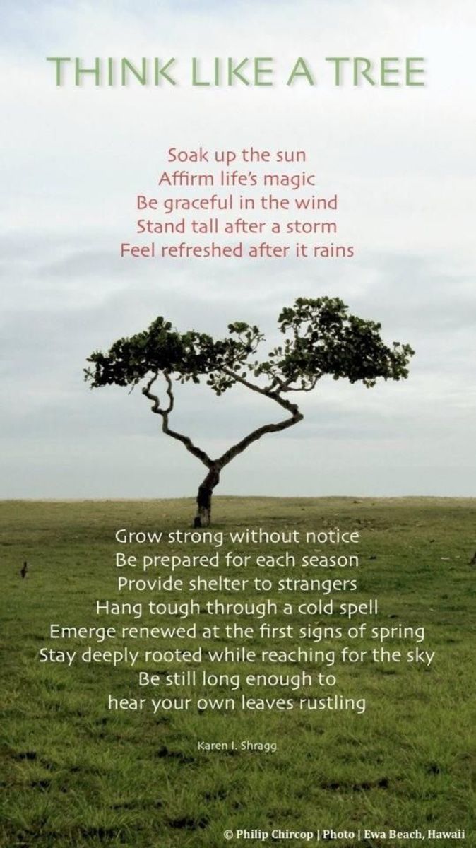 poem-mr-tree