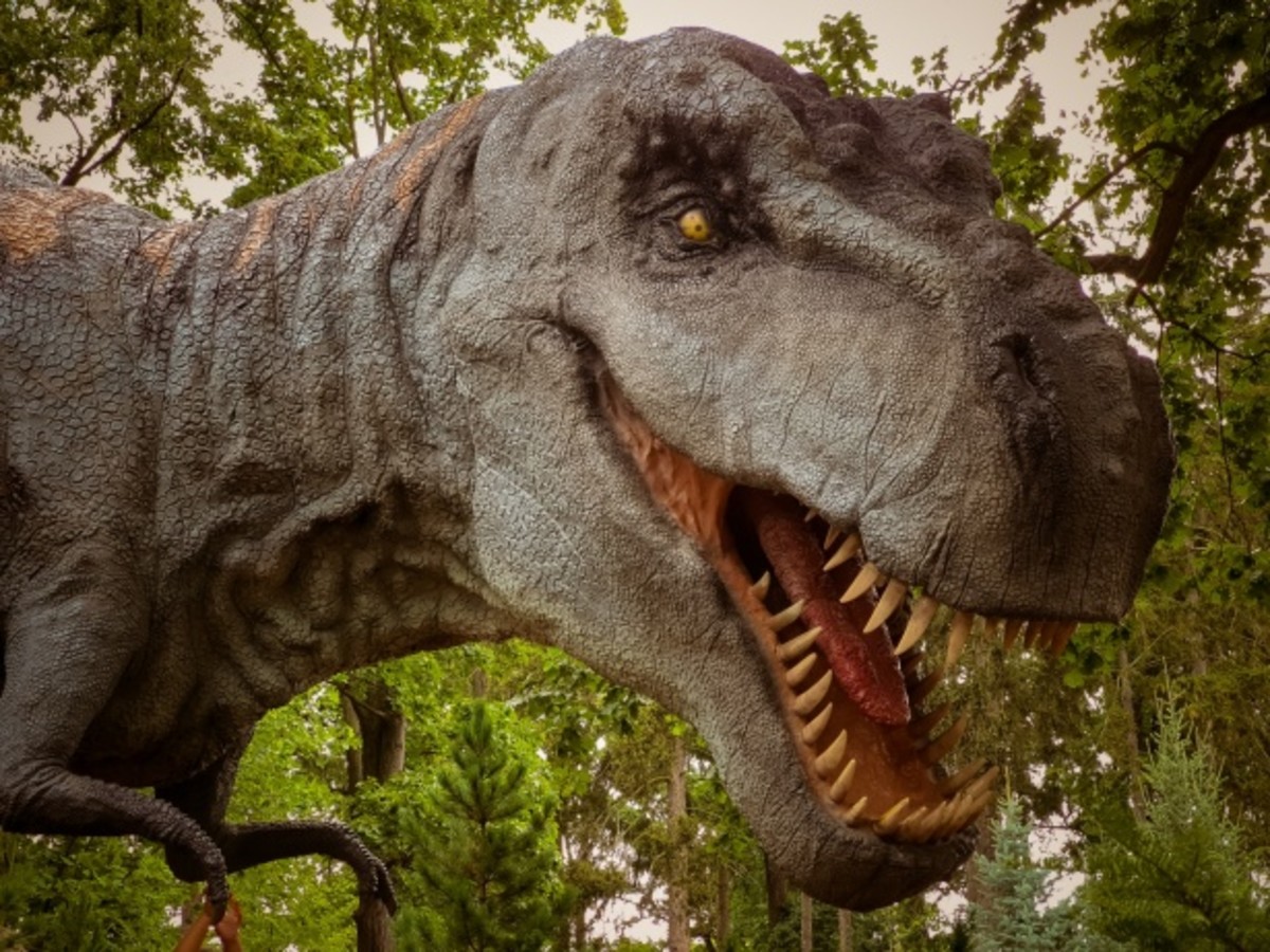 "Tyrannosaurus Rex" by Petr Kratochvil is licensed under CC0 1.0.