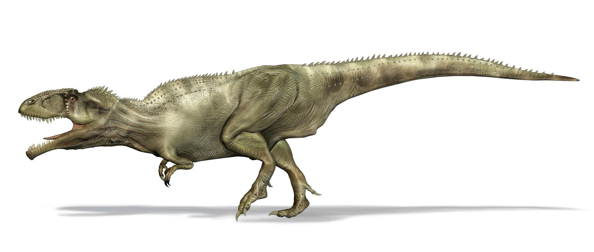 Giganotosaurus dinosaur.