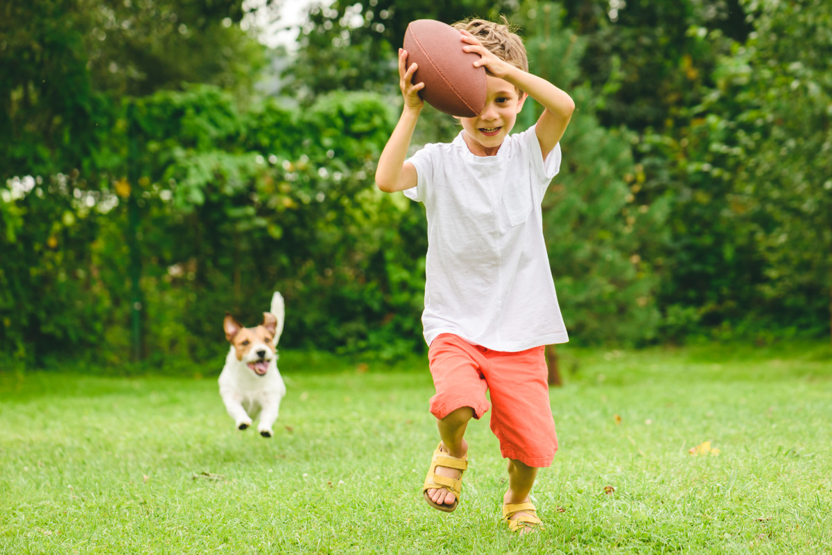 Child Playing with Dog is Shocked When It Vanishes into Thin Air HubPages