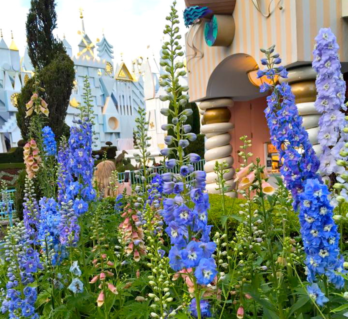 Here are some beautiful flowers in front of It's A Small World. 
