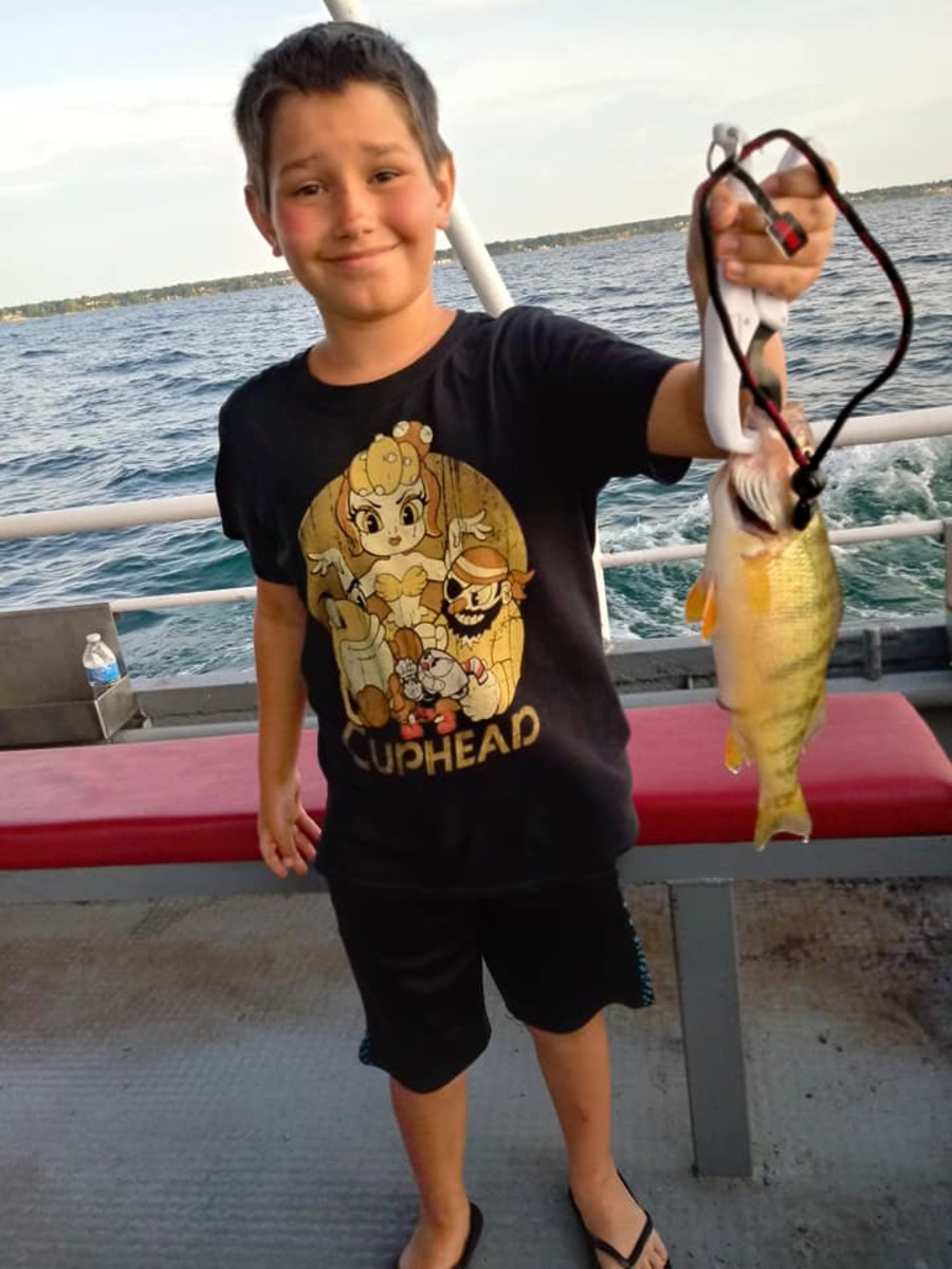 Panfish like bluegill and yellow perch (pictured) can make for exciting trips with frequent chances for your kiddos to hook into something more than a fish.