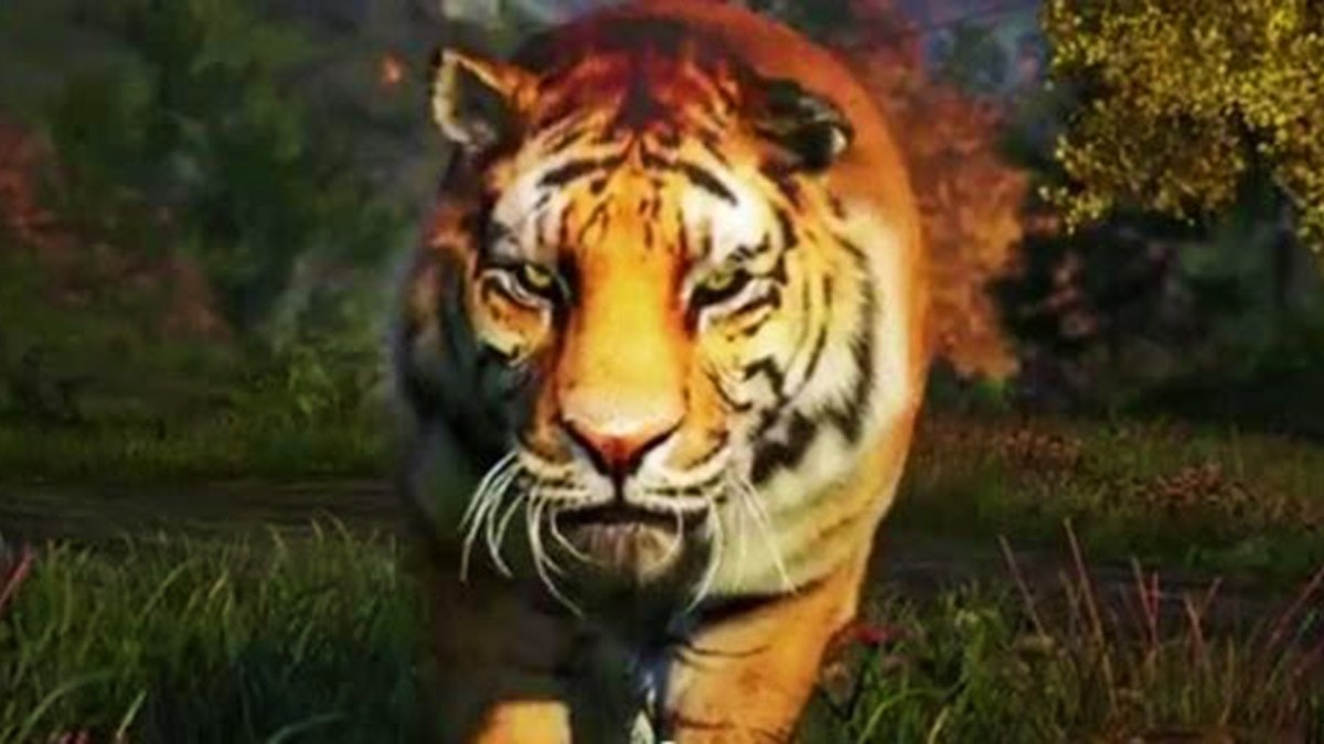 Warning: Ajay Ghale is a trained idiot. Do not approach tigers in real life.
