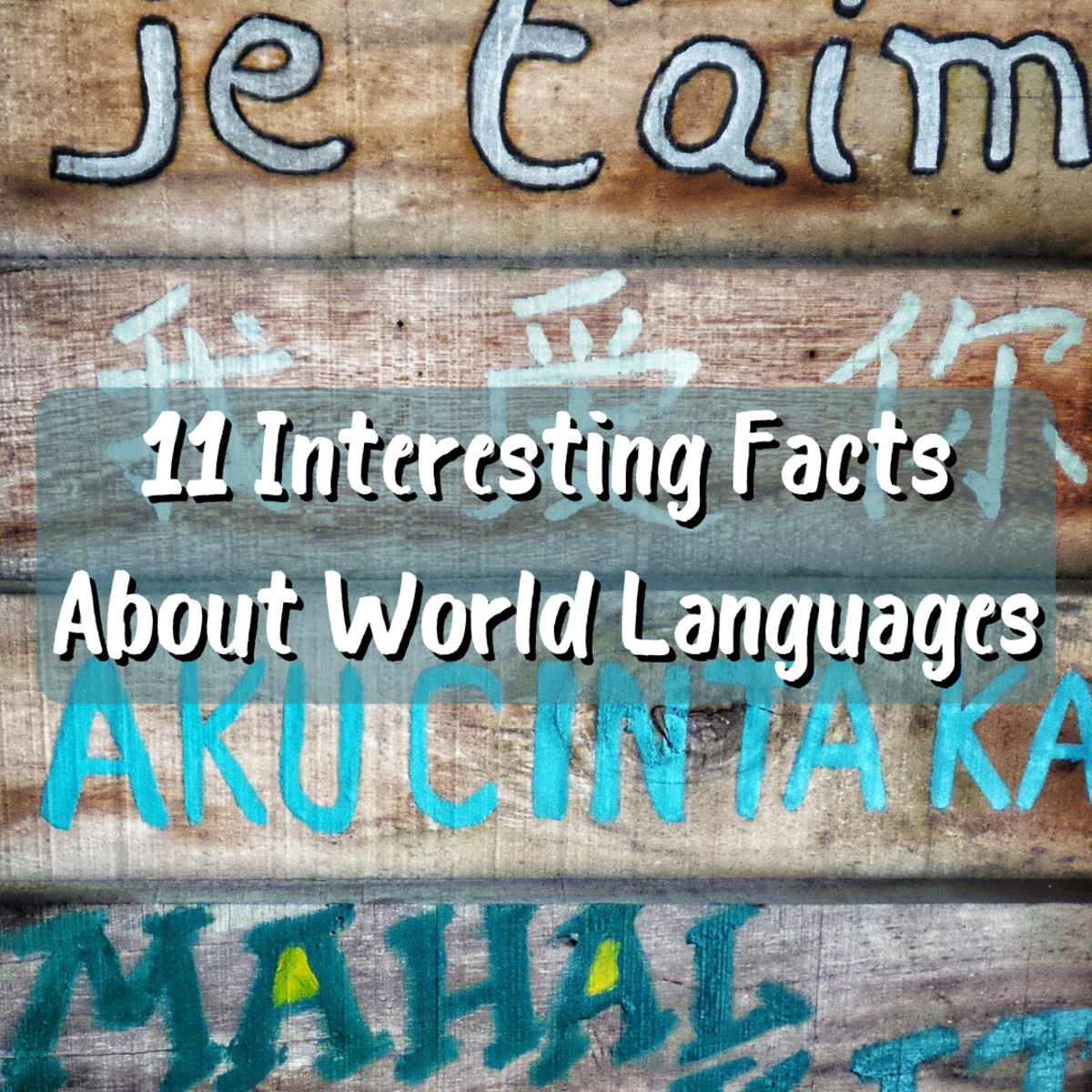 11 Interesting Facts About World Languages
