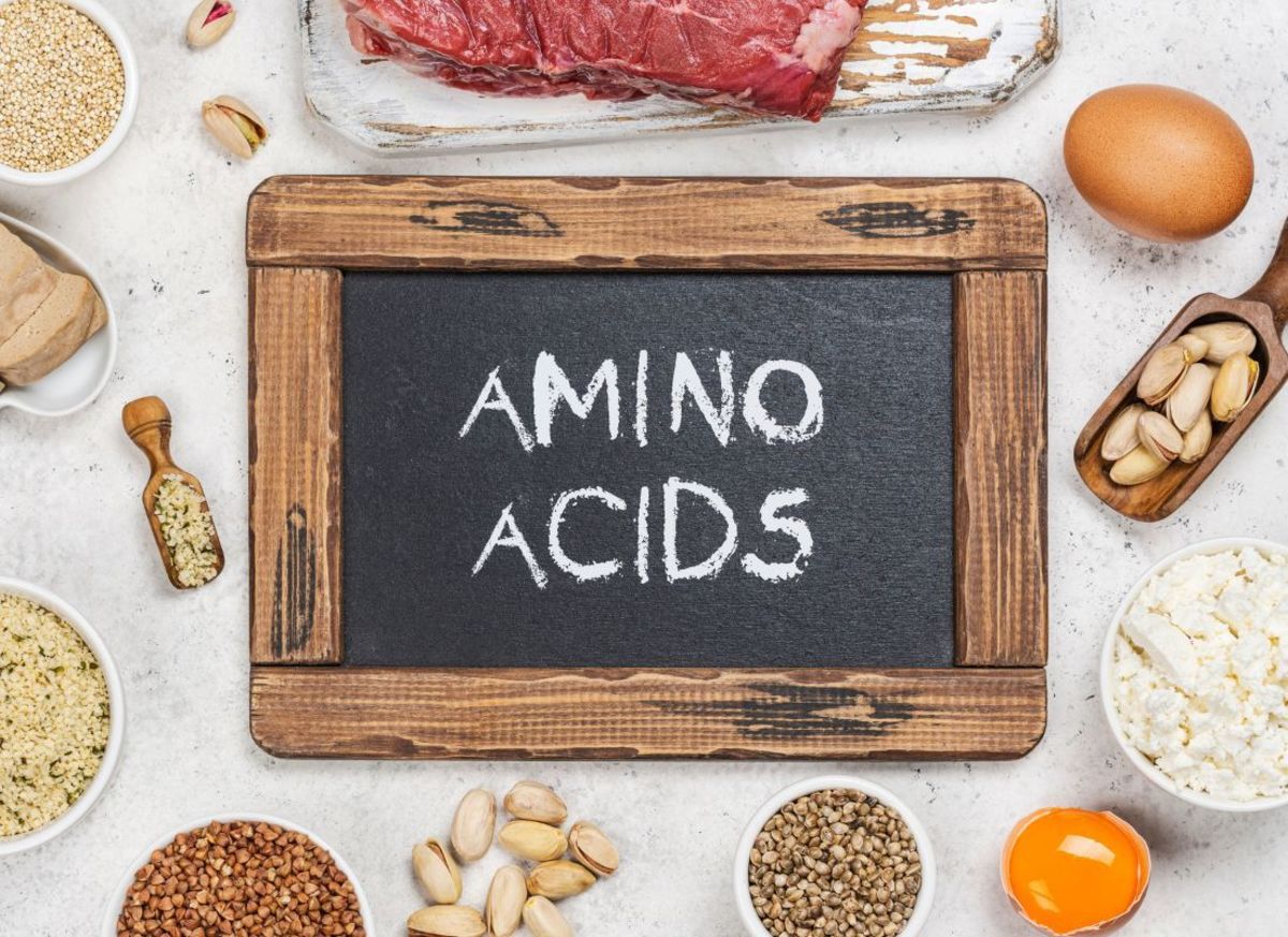 Where Do You Find Amino Acids?