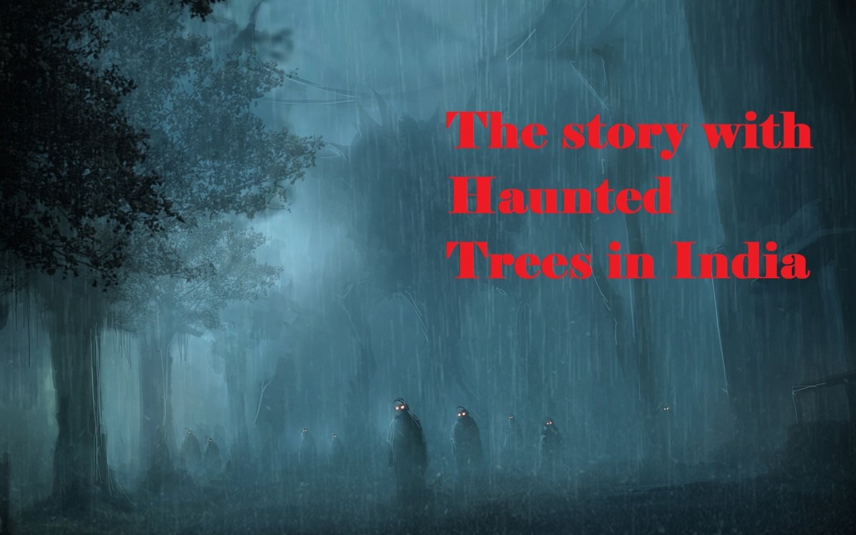 The Story of Haunted Trees in India?