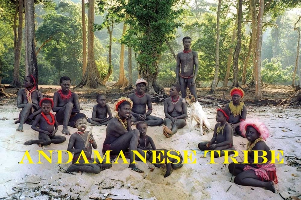 Mysterious Andamanese Tribe Gives up Secret to Survival