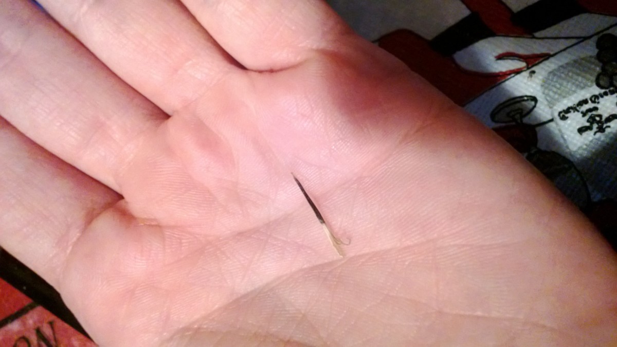 Time Capsule IdeasMake Your Own One Year Time Capsule For Good Luck HubPages