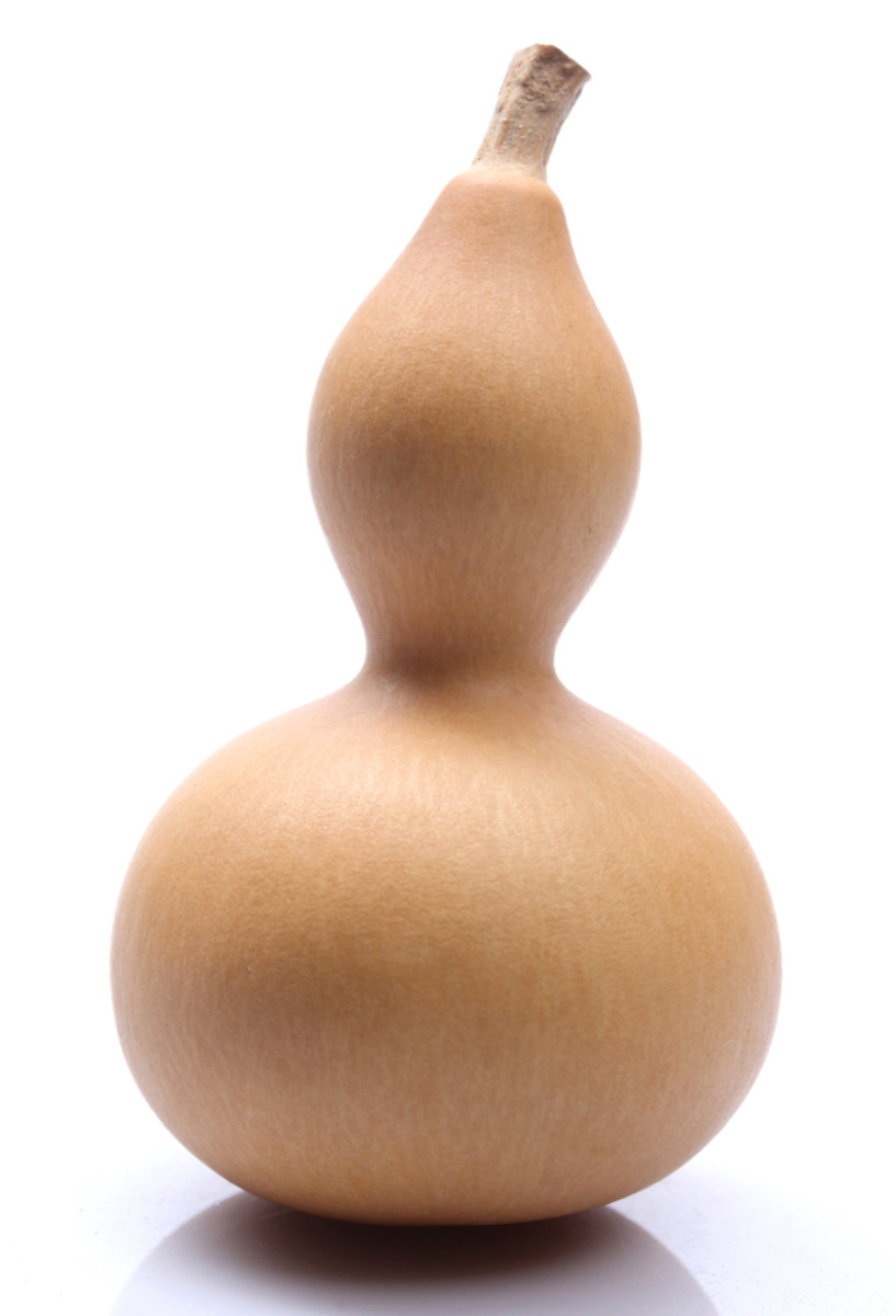 Bottle Gourd 