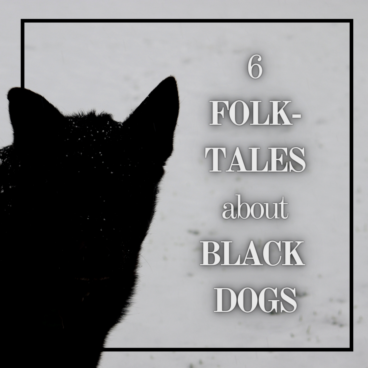 6 Folktales About Black Dogs