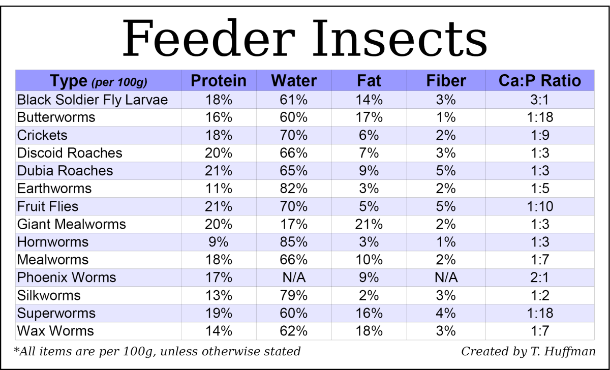 Feeding Guide for Your Bearded Dragon PetHelpful