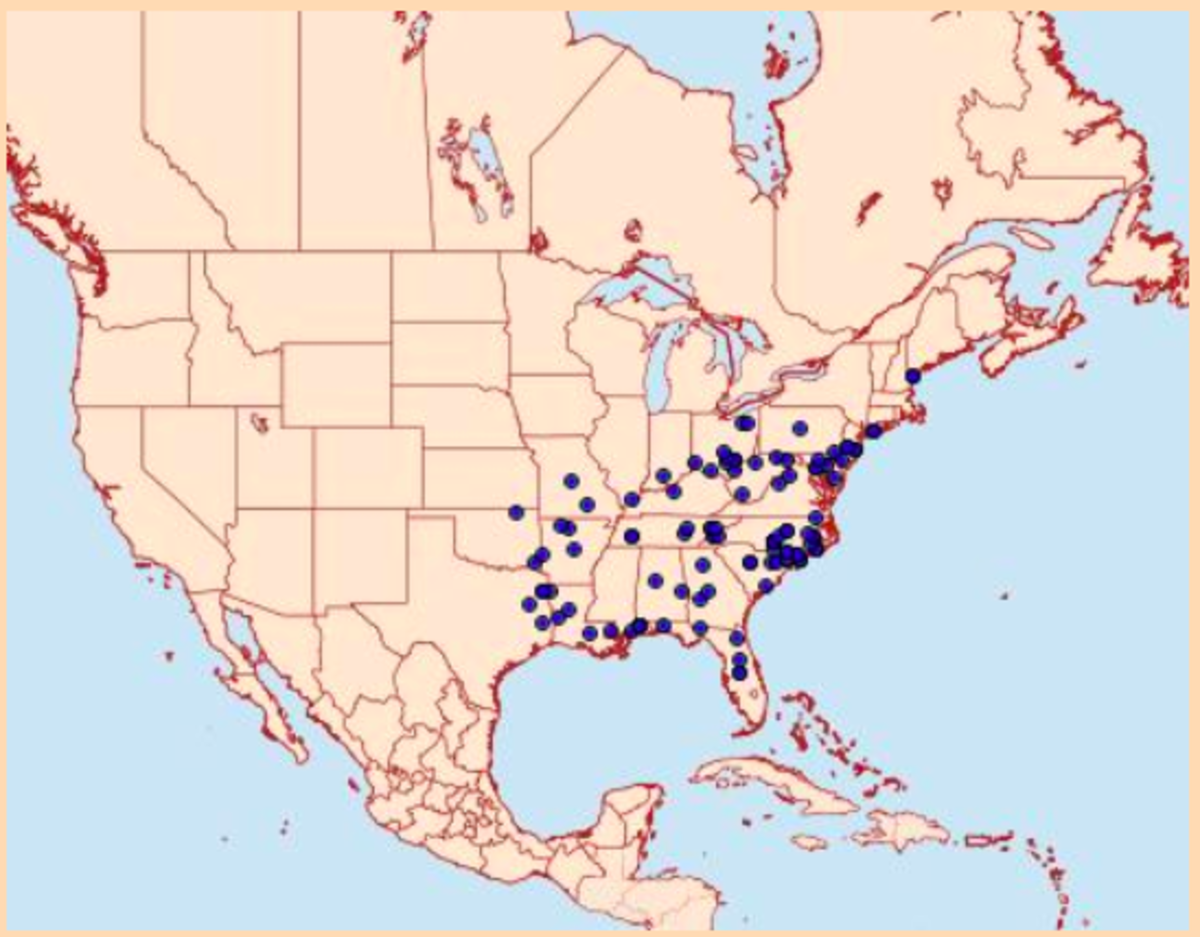Records of Datana major in North America