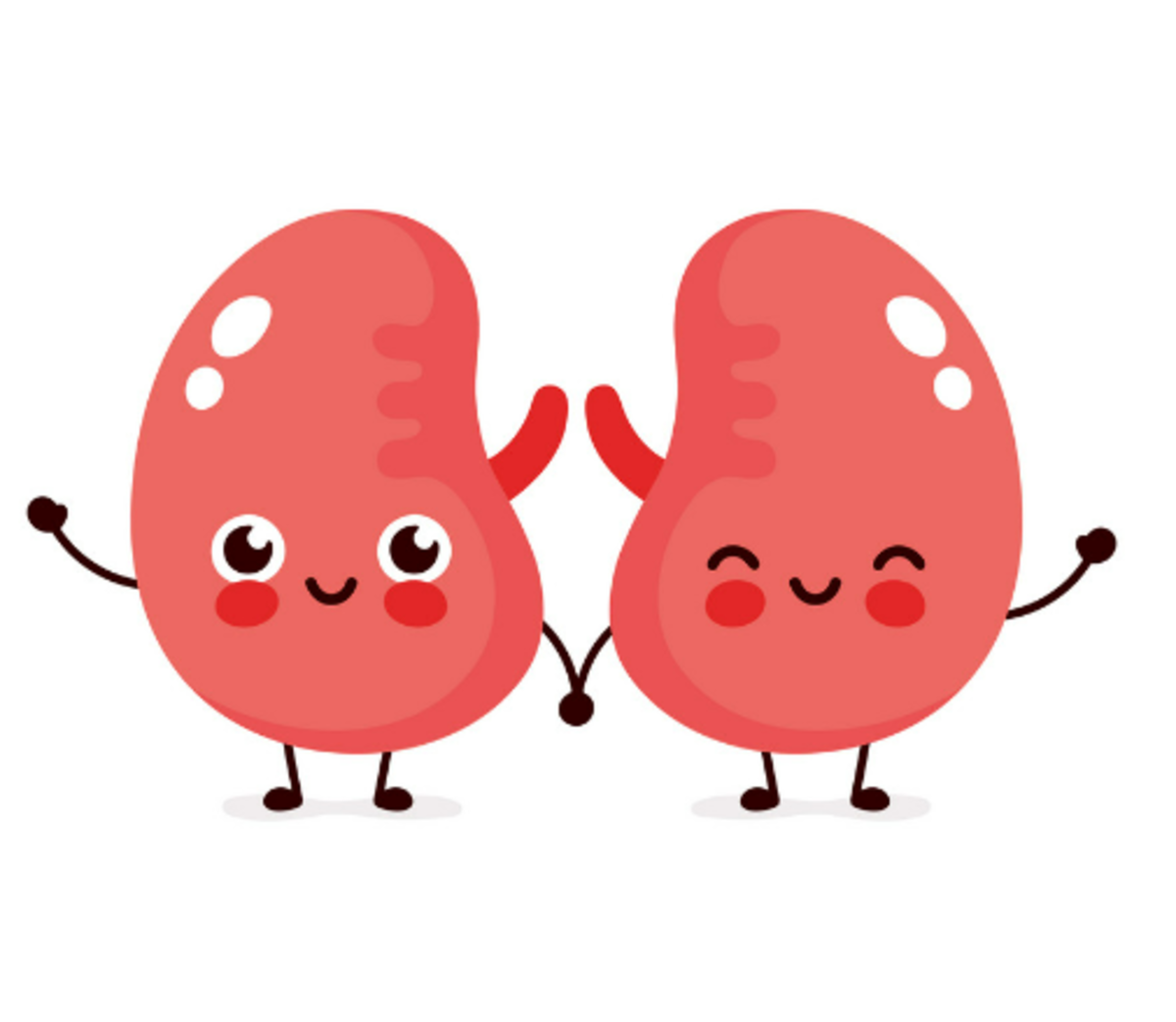 secret-to-healthy-kidneys