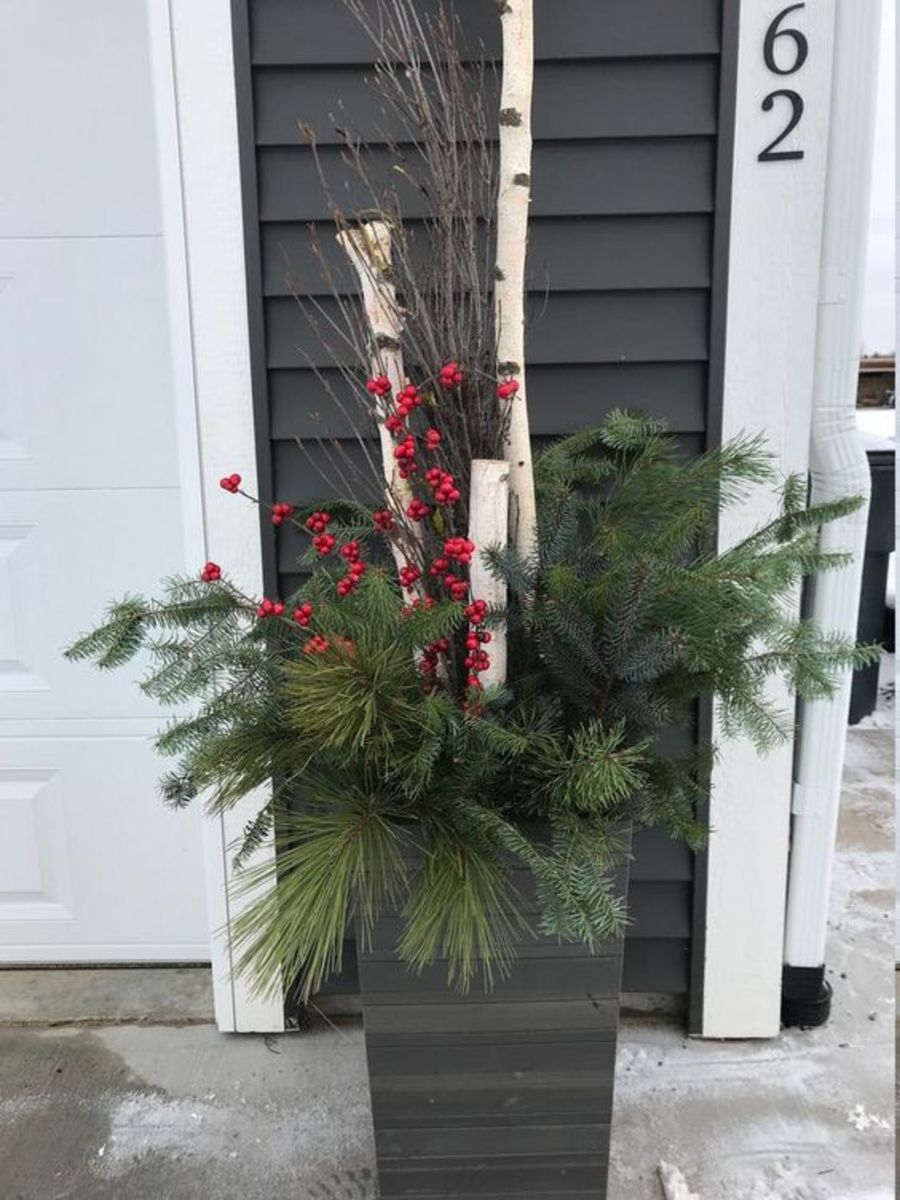 Weathered Planter With Evergreens, Birch Branches, and Berries