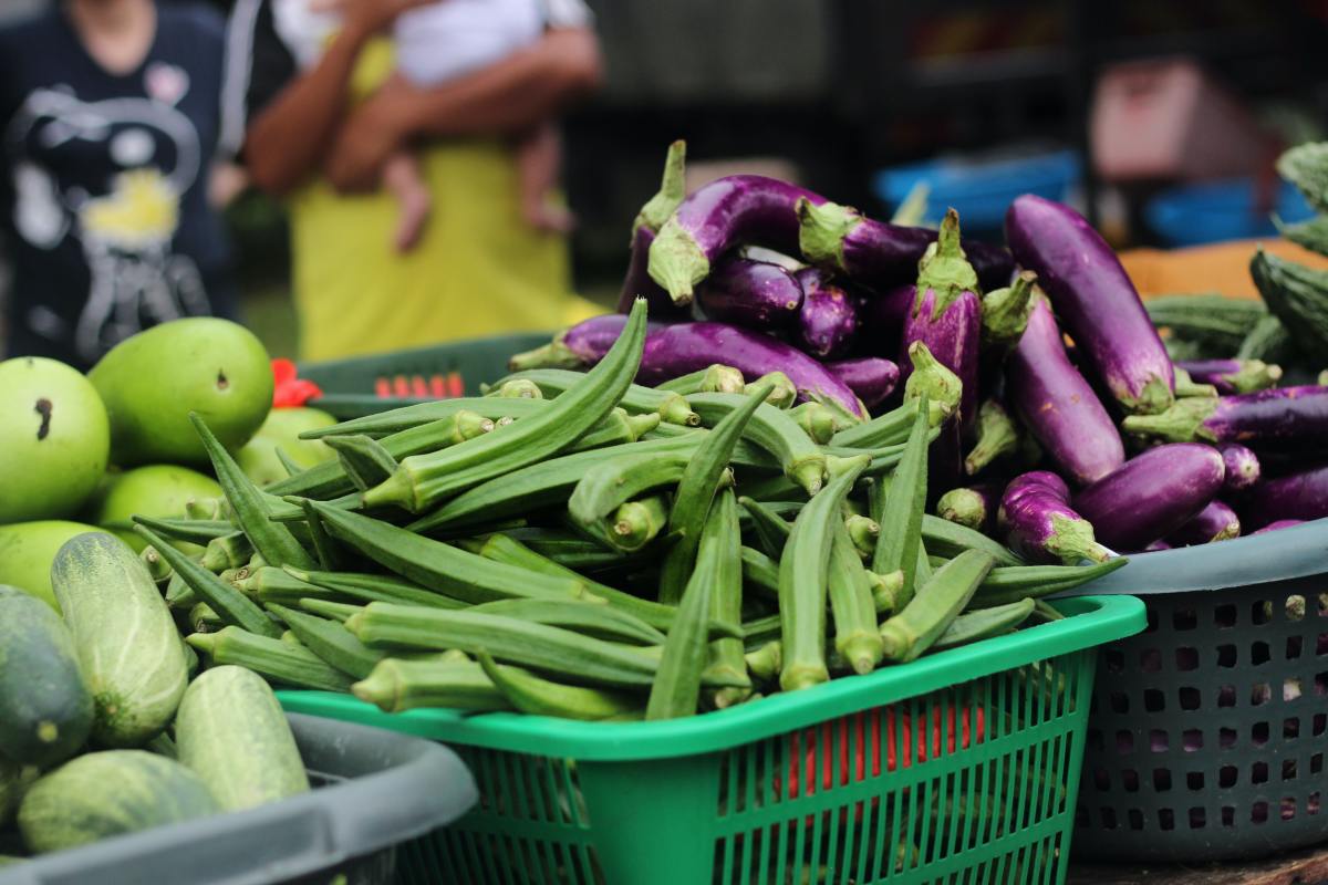 How to Grow Okra for a Bountiful Harvest Throughout the Year