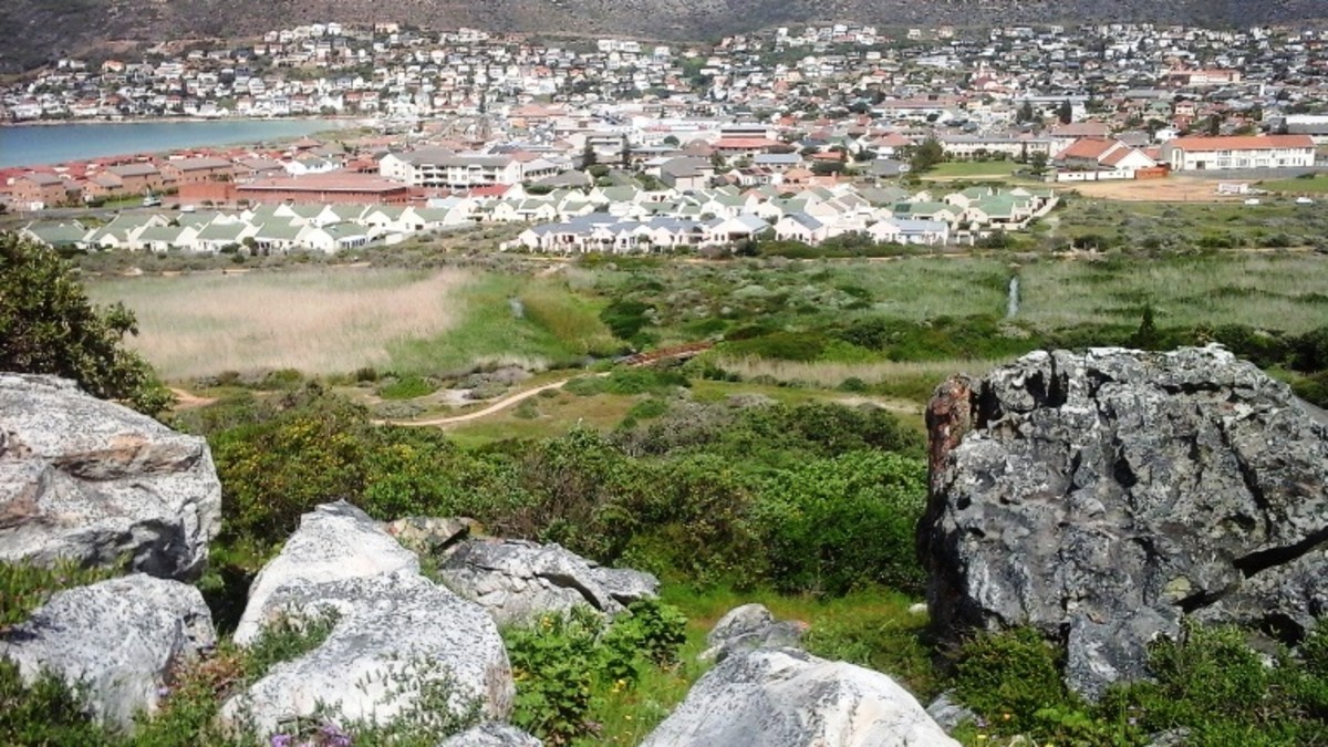 The vlei, hiding the outlet of the Silvermine River between Clovelly and Fish Hoek ©Martie Coetser