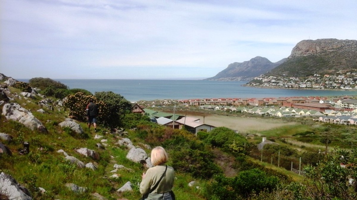 ©Martie Coetser (behind the camera) on Trappieskop, Clovelly, Cape Town. Viewing False Bay, Fish Hoek and Simons Town (in the distance)   