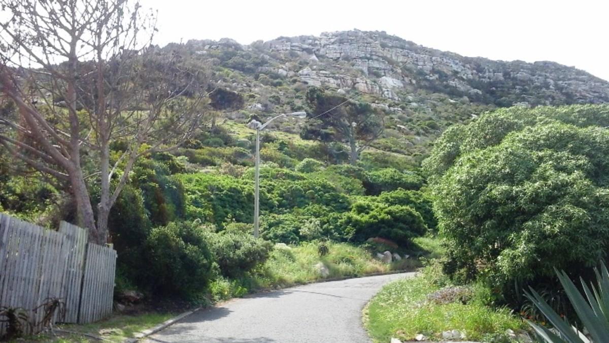 ©Martie Coetser approaching a hiking trail on Trappieskop, Clovelly, Cape Town 
