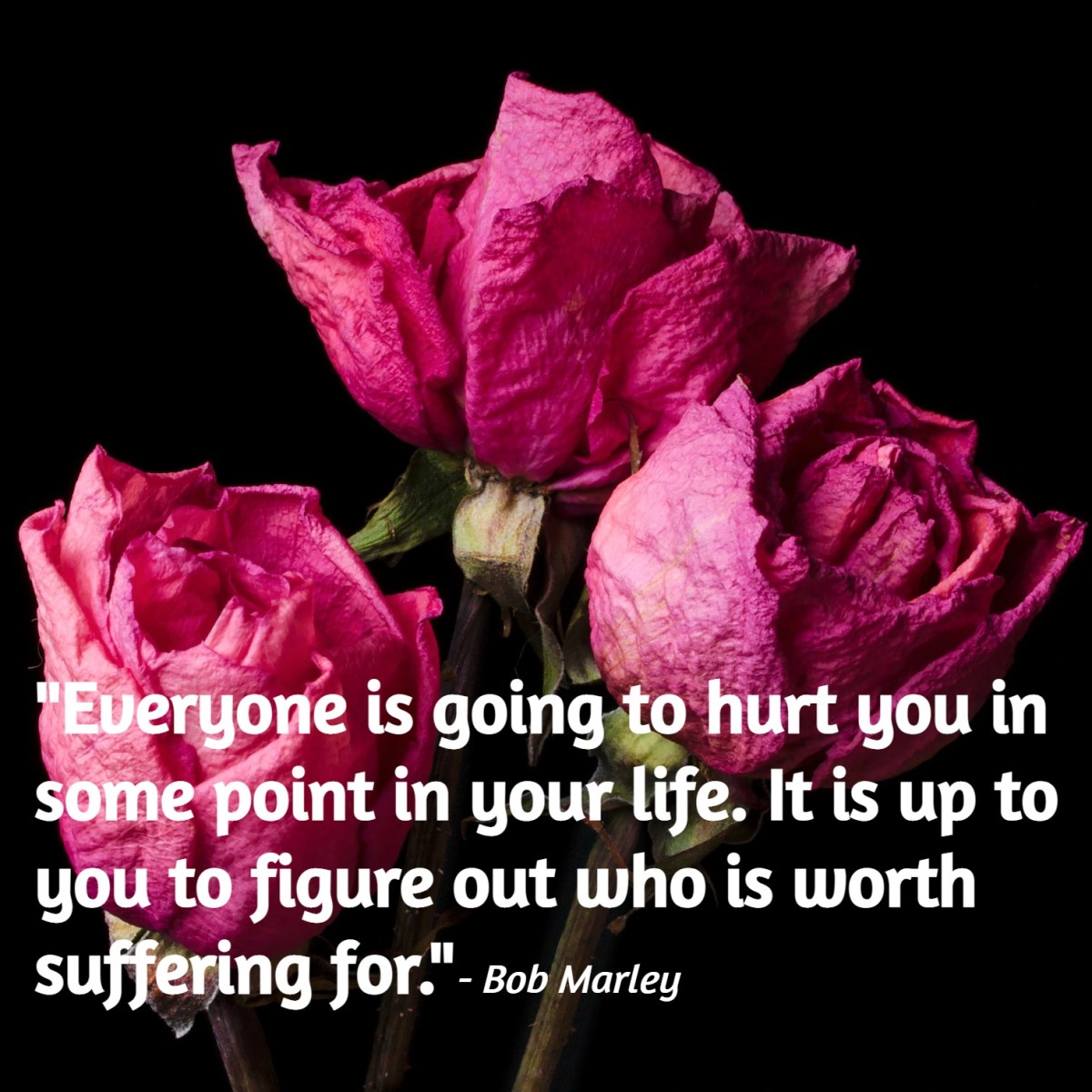 "Everyone is going to hurt you in some point in your life. It is up to you to figure out who is worth suffering for." - Bob Marley, Jamaican mucician
