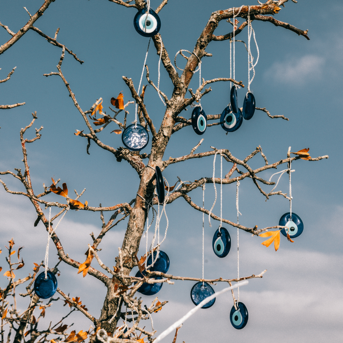 Protective amulets in a tree.