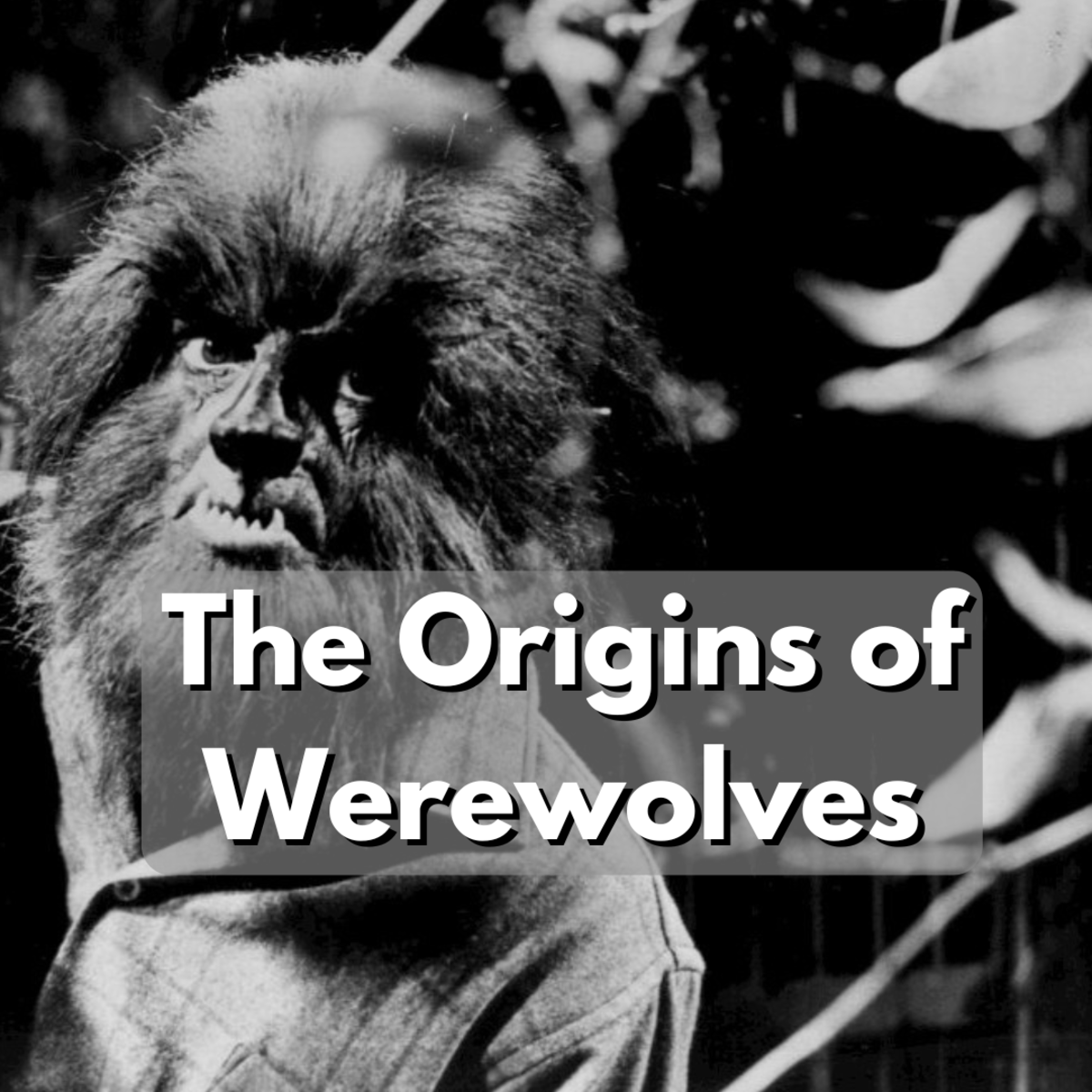 The Origins of Werewolves