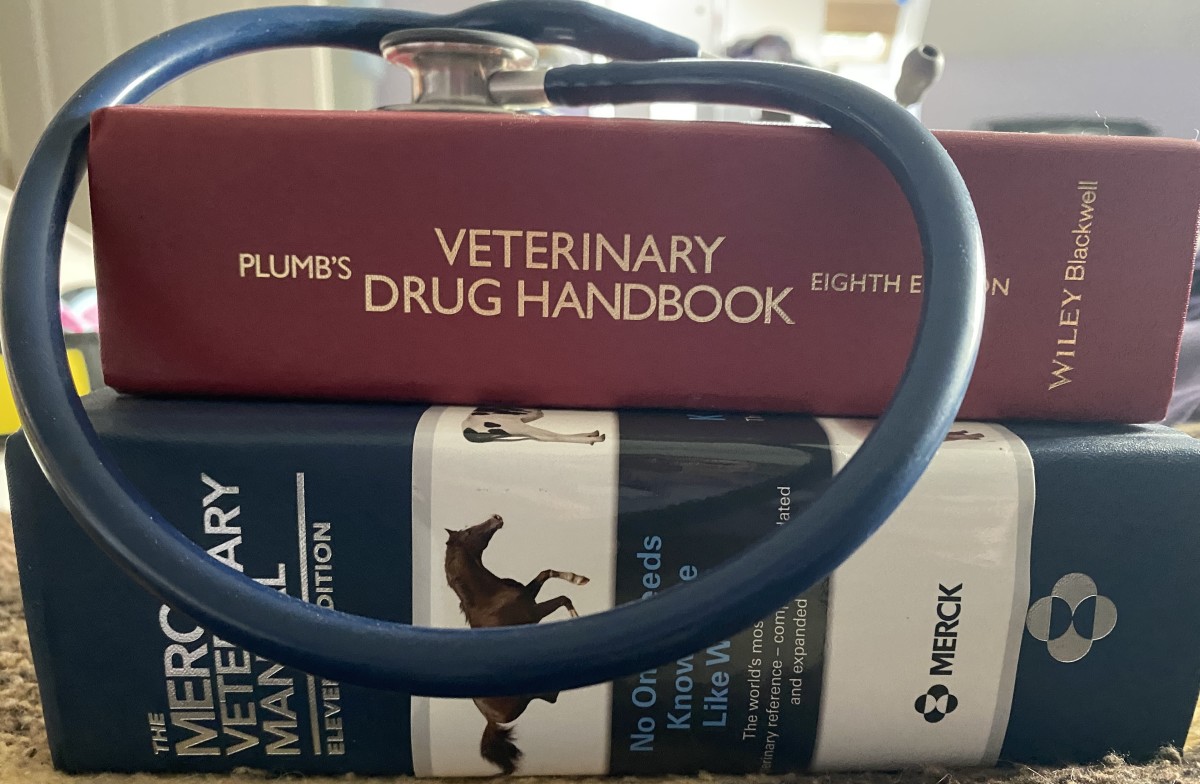 veterinary-life-4ever