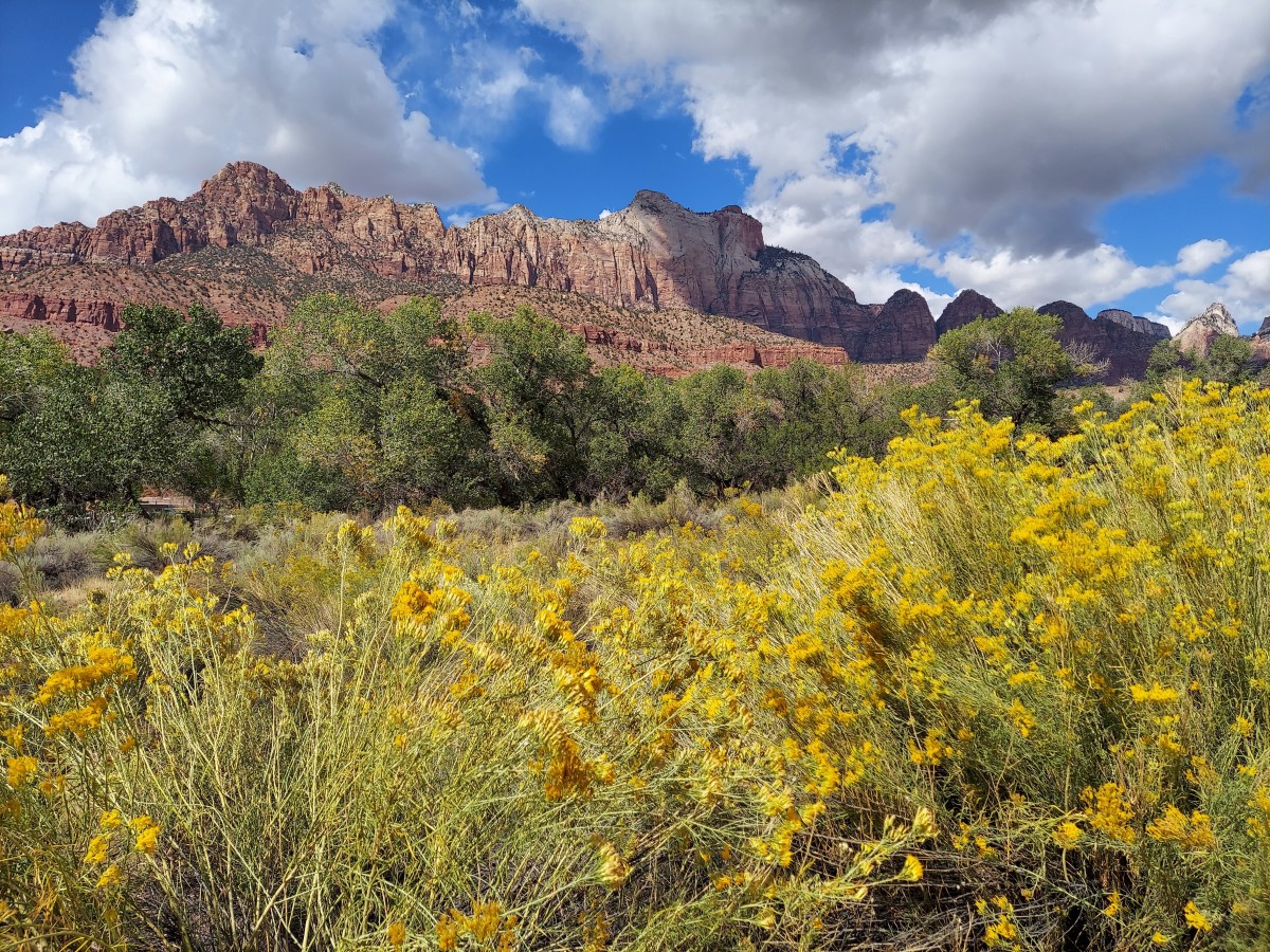 A beautiful October day at Zion. 