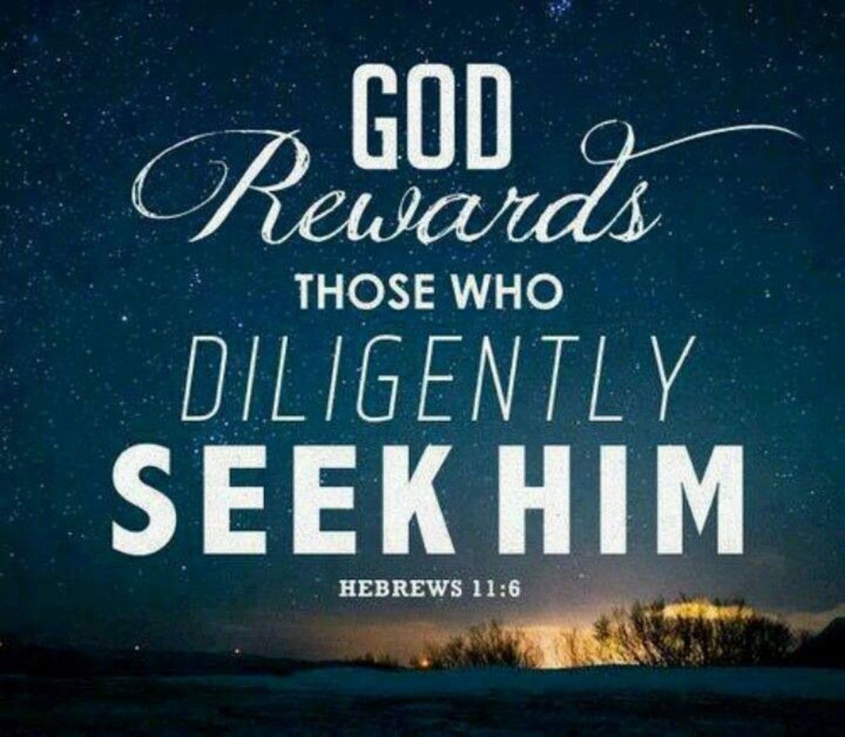 The Life God Rewards: Diligently Seeking Him