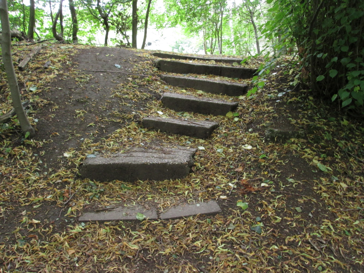 These concrete steps look as if they'd been here a long time, possibly from pre-WWII days. There are wooden benches for the students who visit the Field Studies centre...