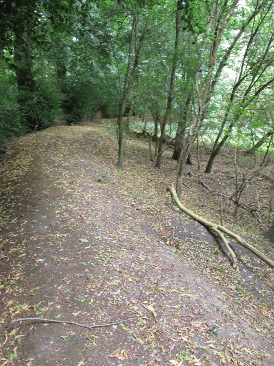 Part of the spectator embankment behind (east of) the King's Oak Hotel 